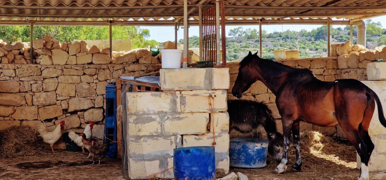 Valley View Qrendi エクステリア 写真